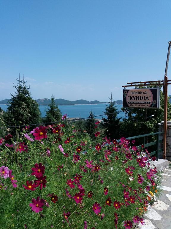Kynthia Guesthouse Neochorion Bagian luar foto