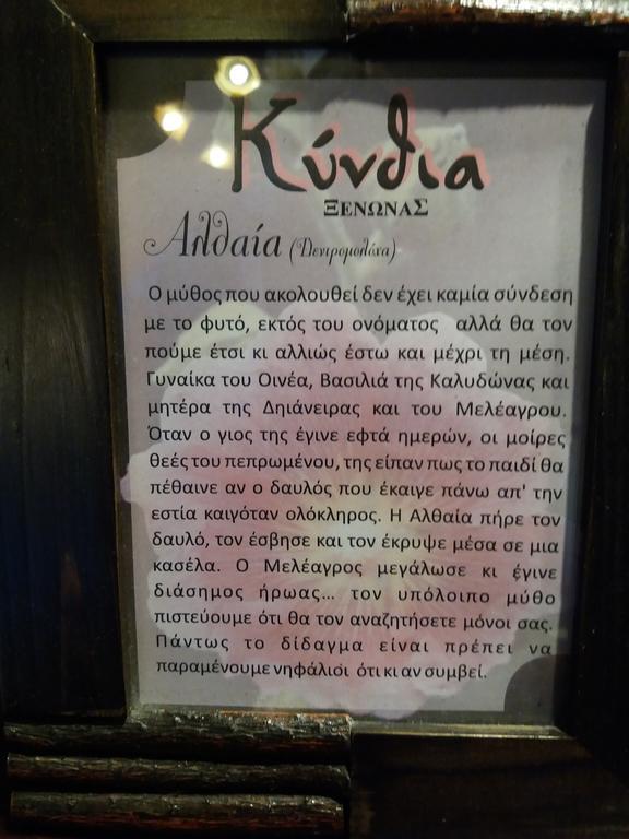 Kynthia Guesthouse Neochorion Bagian luar foto
